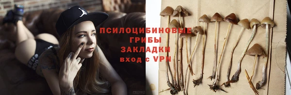 альфа пвп Новодвинск